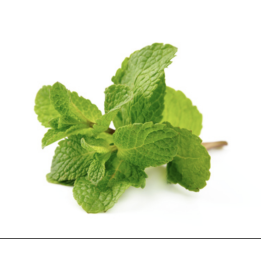 Menthe fraiche - Boucherie et Saveurs du Monde
